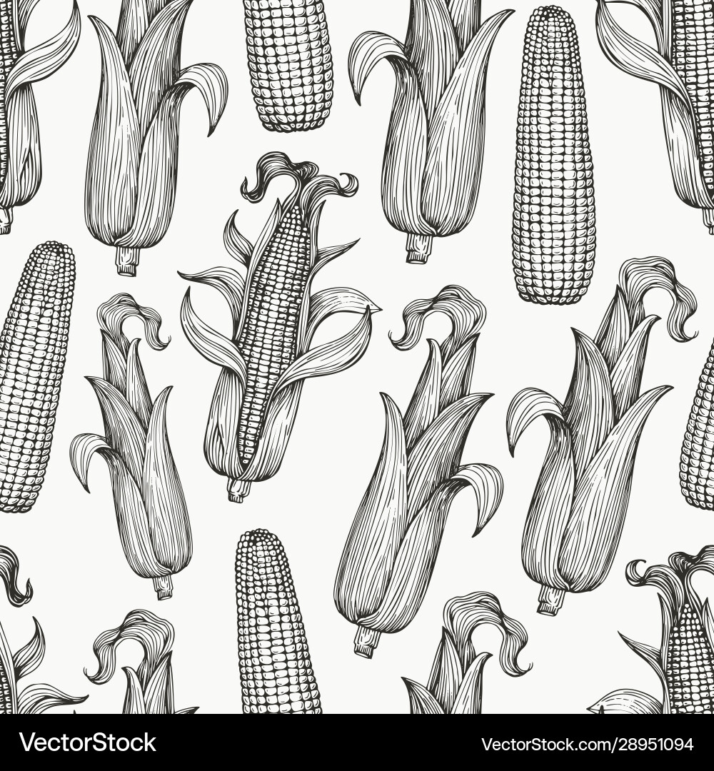Seamless pattern with corn on cob with leaves Vector Image