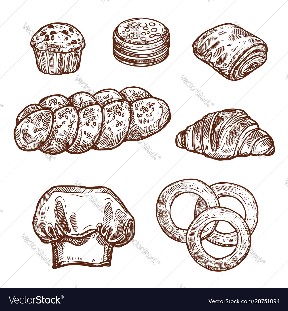 Sweet bread bun sketch of bakery pastry product Vector Image