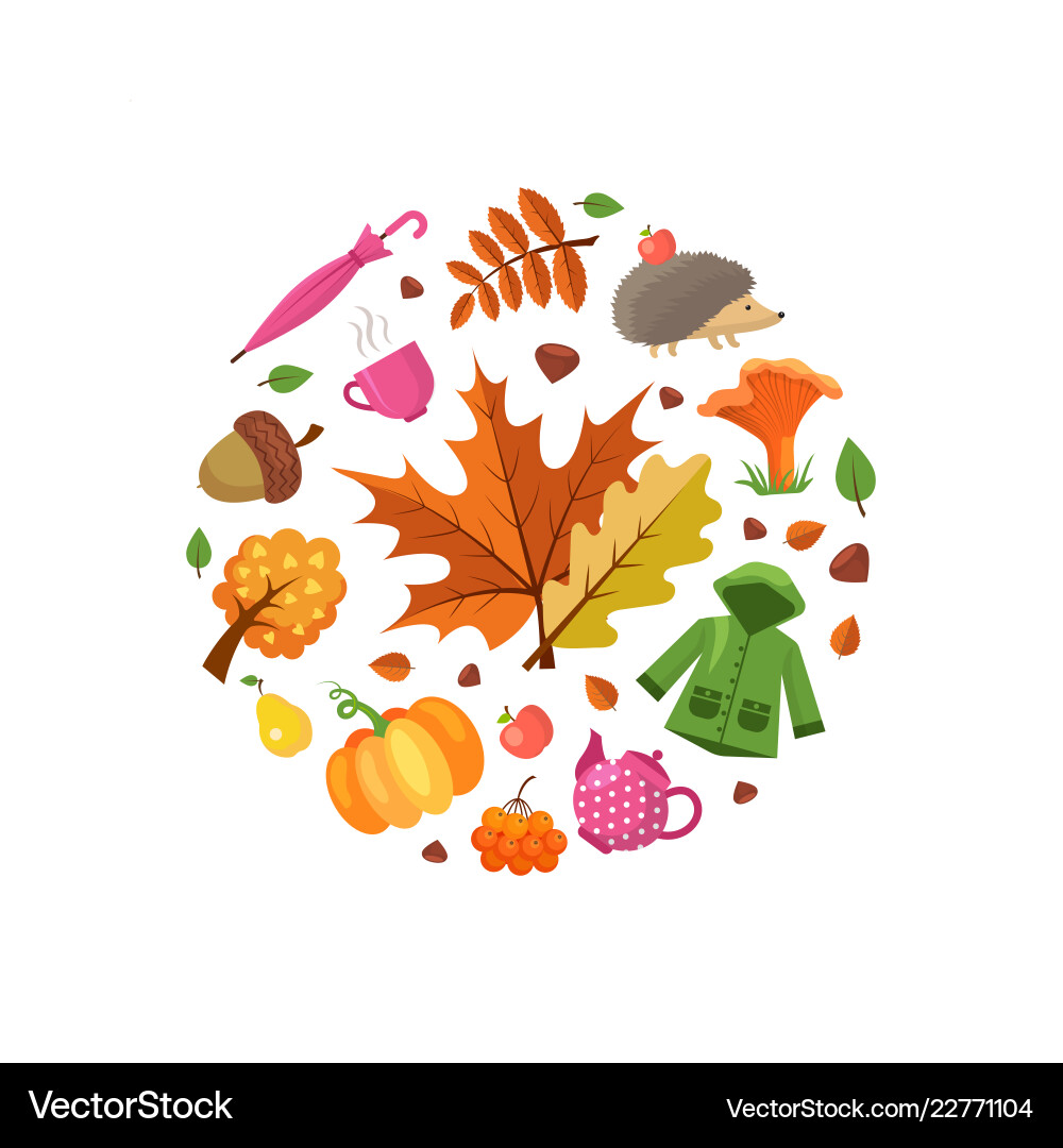 Cartoon autumn elements and leaves Royalty Free Vector Image