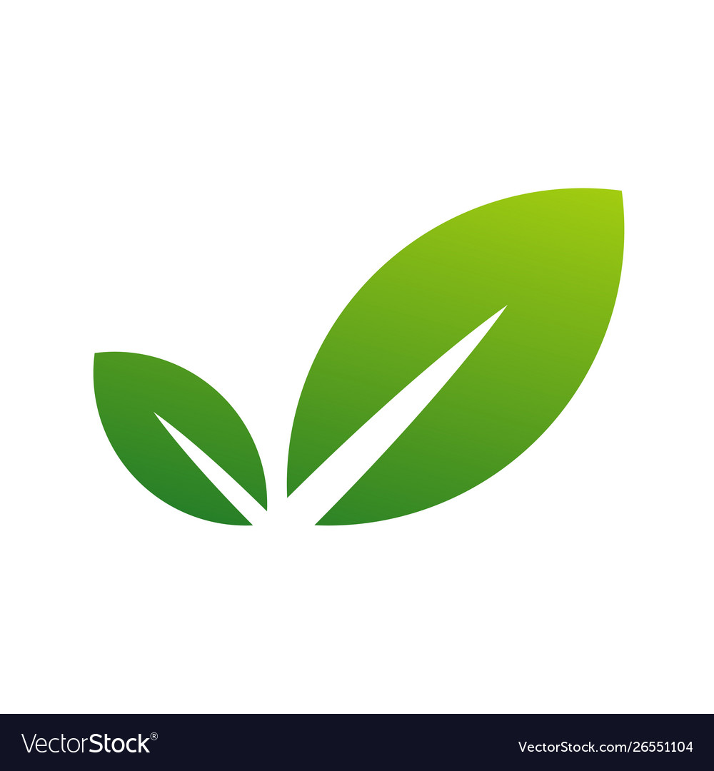 Green Leaf Logo Design Template Modern Leaf Logo Vector Image 6456