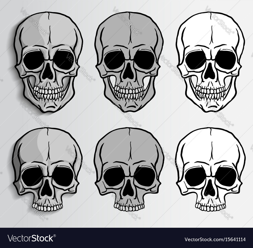 Human skulls set Royalty Free Vector Image - VectorStock