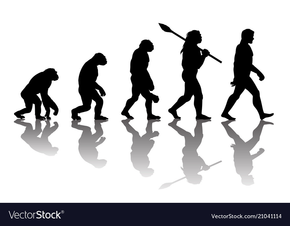 Theory evolution man Royalty Free Vector Image