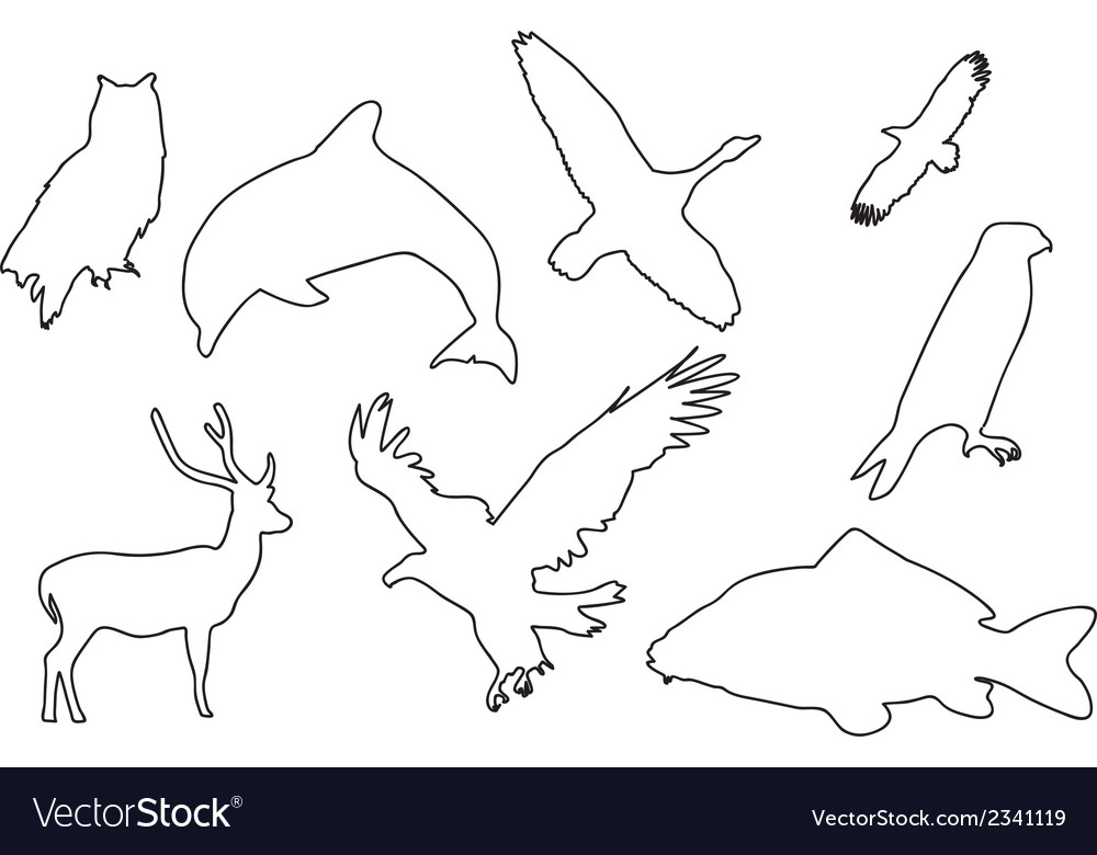 Animal Outlines Svg