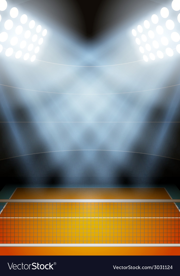 Background for posters night volleyball stadium Vector Image