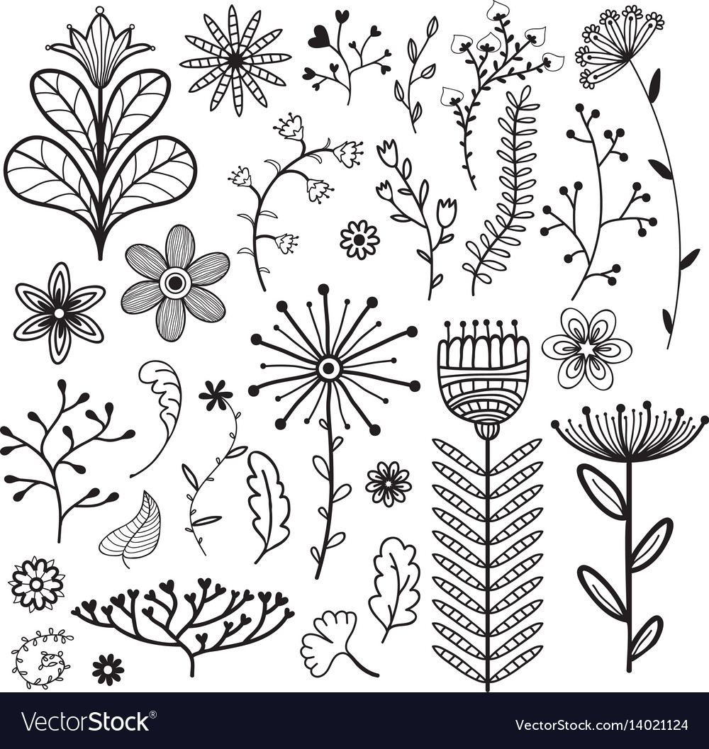 Nature collection Royalty Free Vector Image - VectorStock