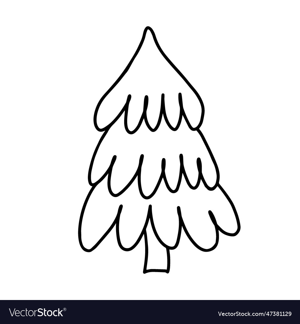 Hand drawn outline of pine coniferous tree Vector Image