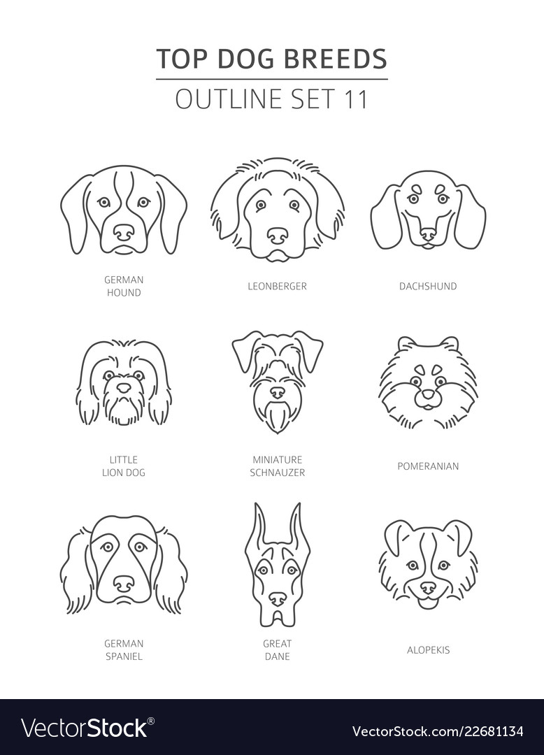 Top dog breeds pet outline collection Royalty Free Vector