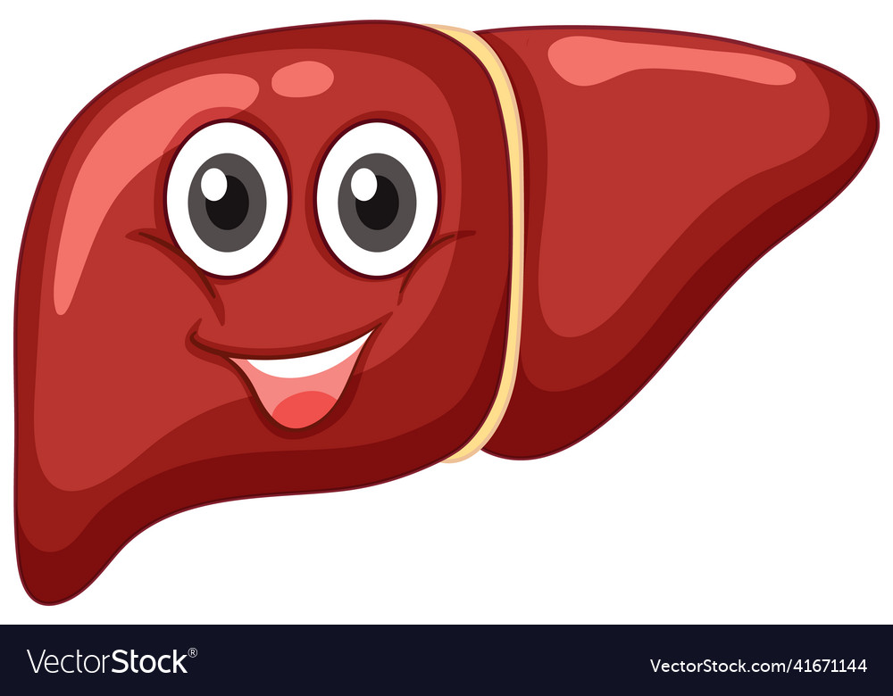 Healthy liver with face expression on white Vector Image