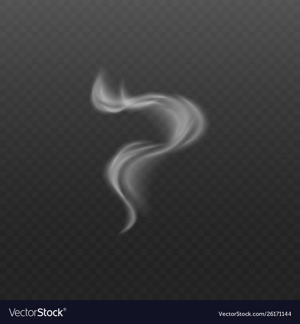 Smoke or steam wave from cigarette and hot food Vector Image