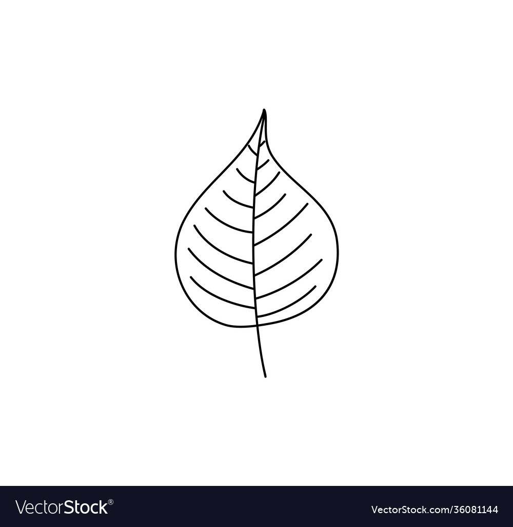 Spring leaf outline line icon doodle Royalty Free Vector