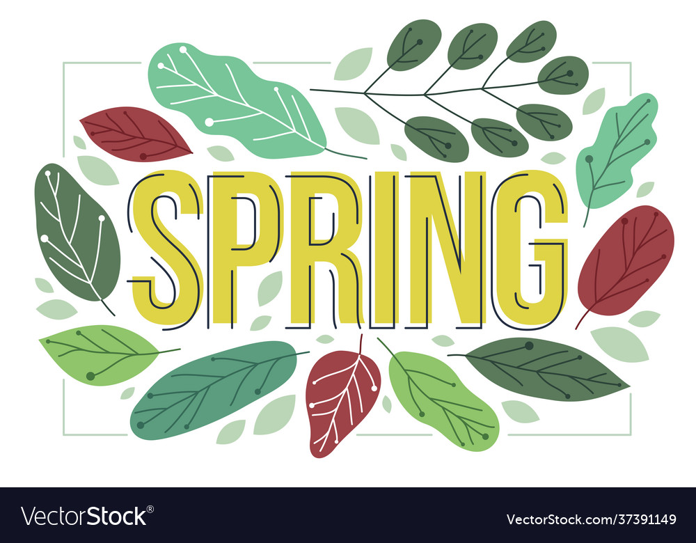 Big spring word surrounded green fresh leaves Vector Image
