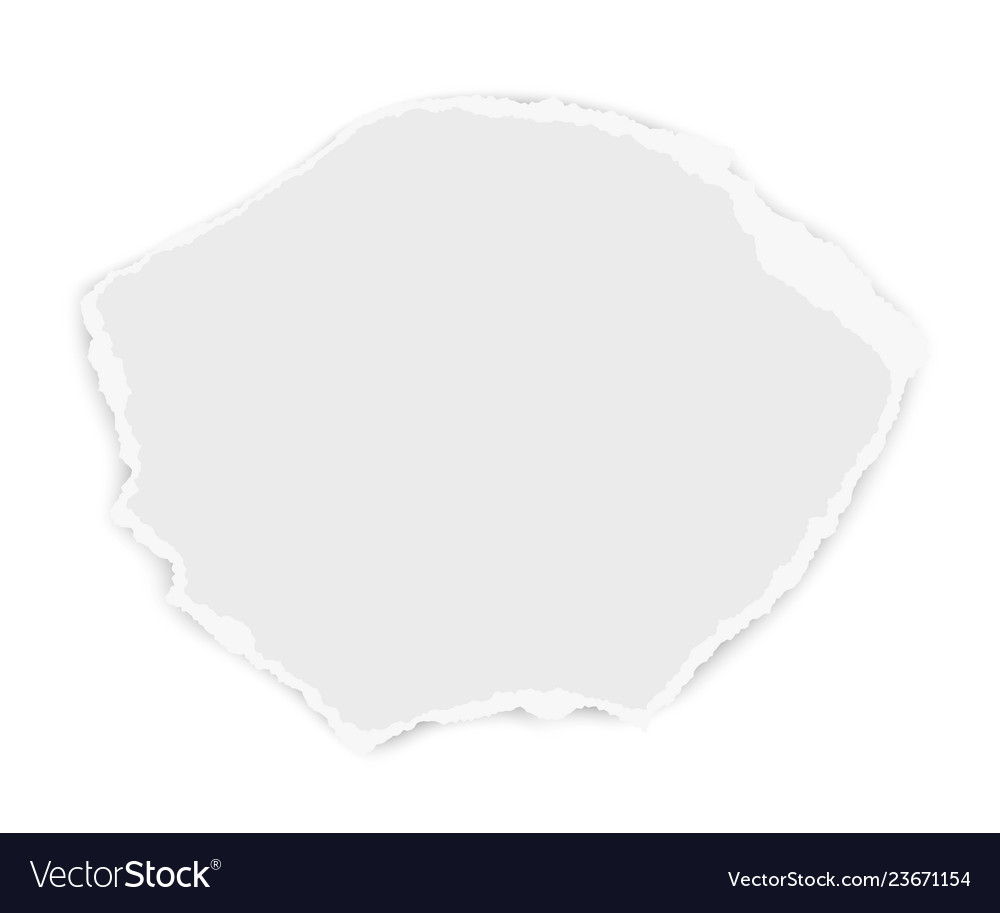 Ripped paper tear isolated on white background Vector Image