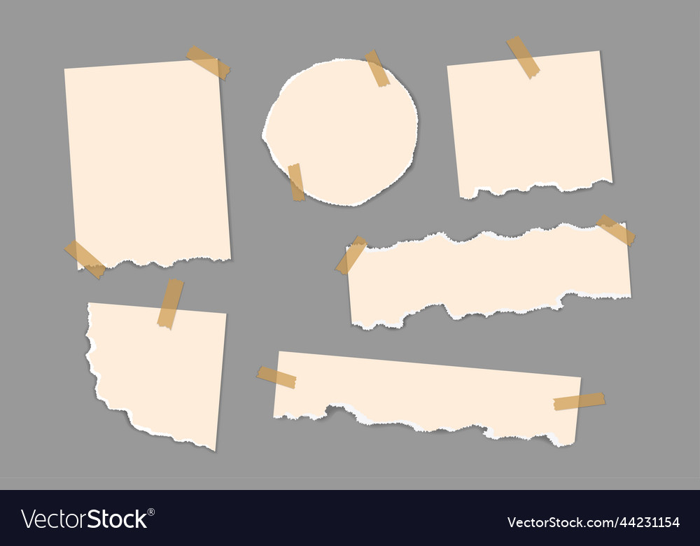 Torn paper set real brown or ripped Royalty Free Vector