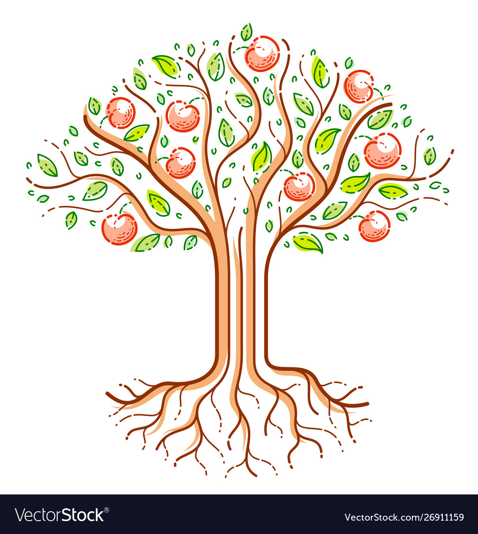 Beautiful apple fruit tree linear style drawing Vector Image