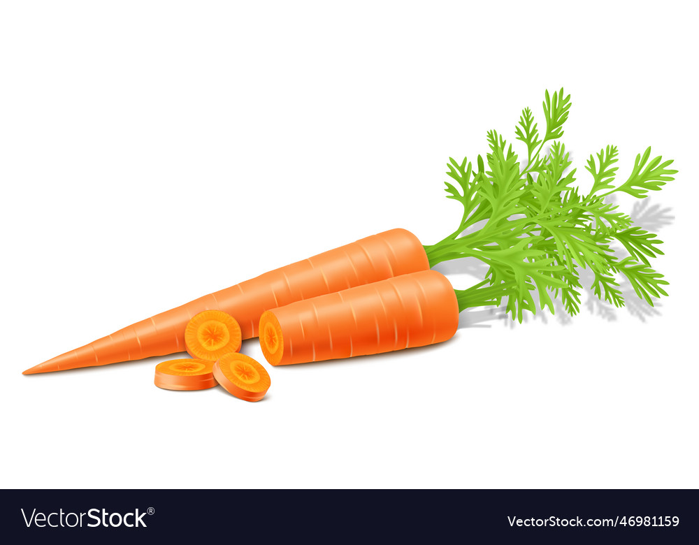 Carrots with leaves isolated on white background