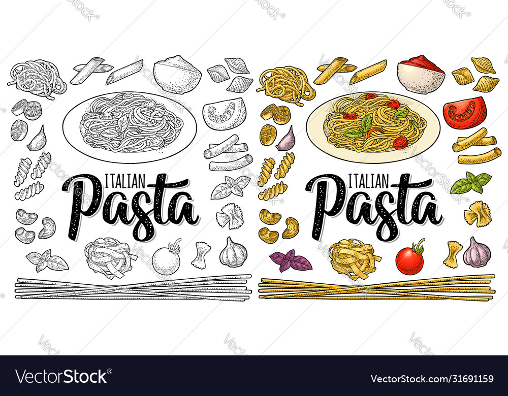 Different types macaroni and italian pasta Vector Image