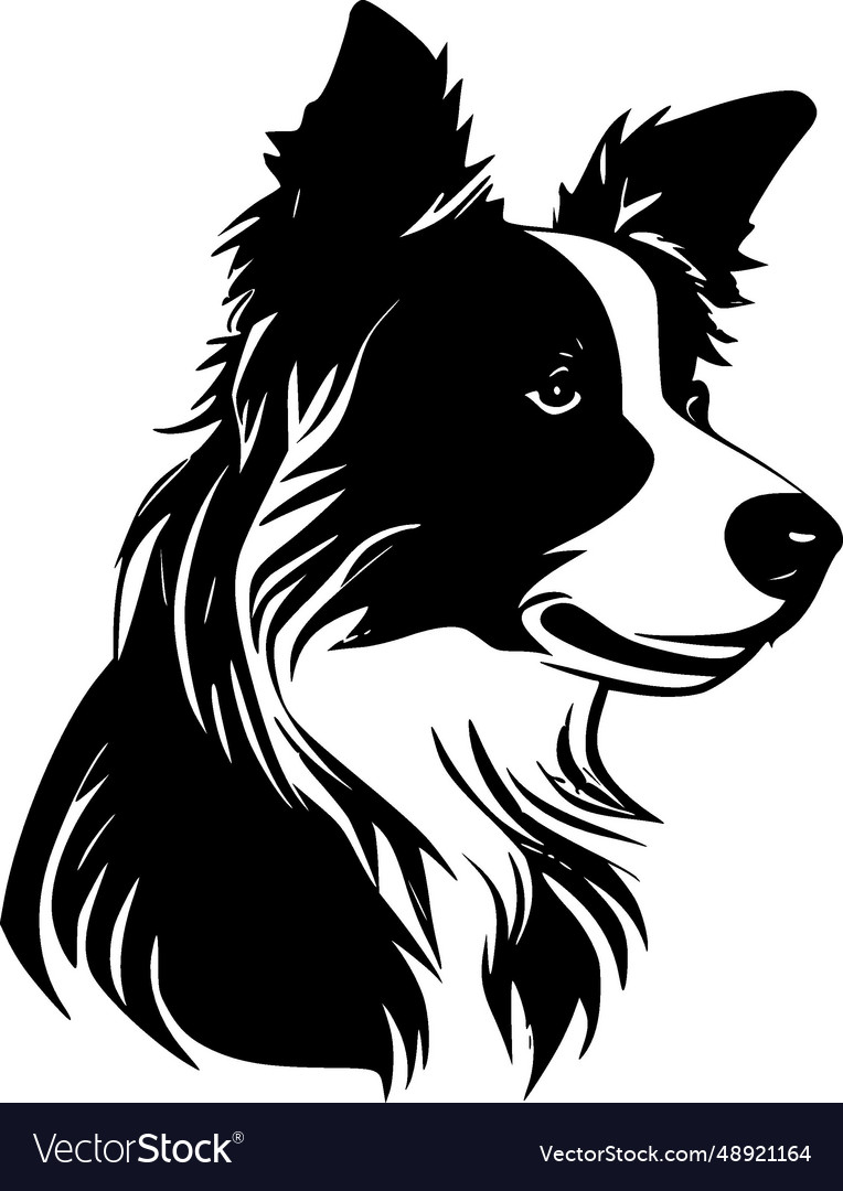 Border collie - black and white Royalty Free Vector Image