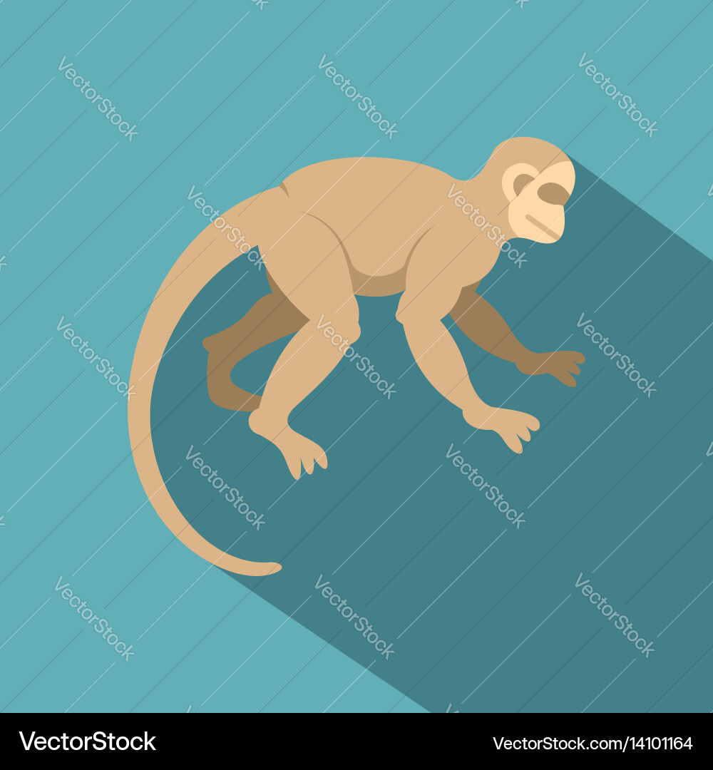 White capuchin icon flat style Royalty Free Vector Image