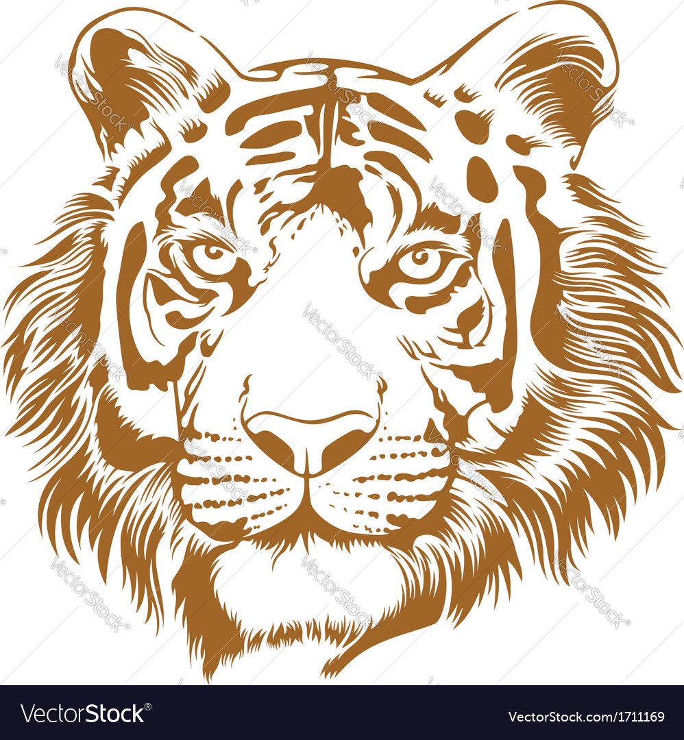 Tiger stencil Royalty Free Vector Image - VectorStock