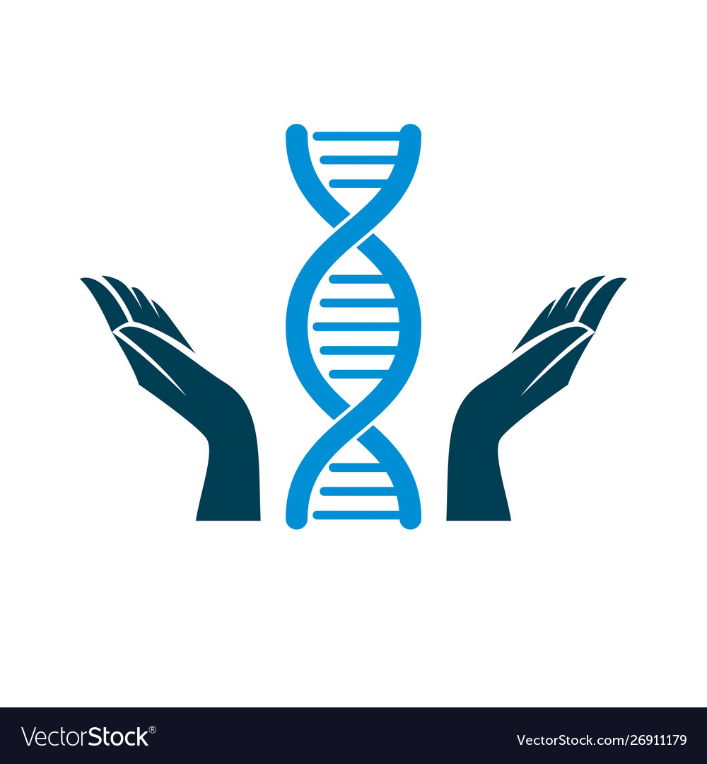 Caring hands hold a model human dna Royalty Free Vector