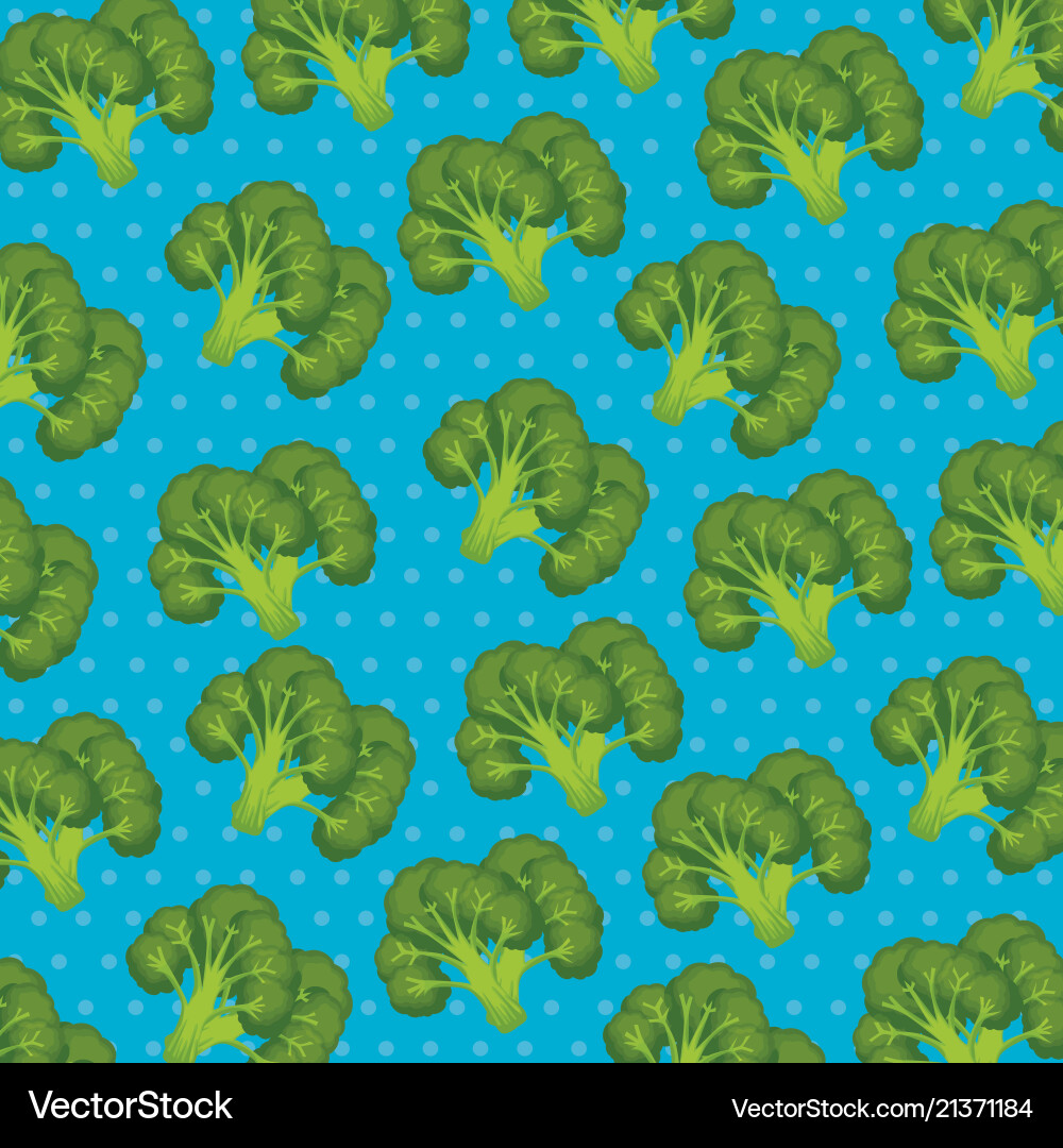 Fresh broccoli pattern background Royalty Free Vector Image