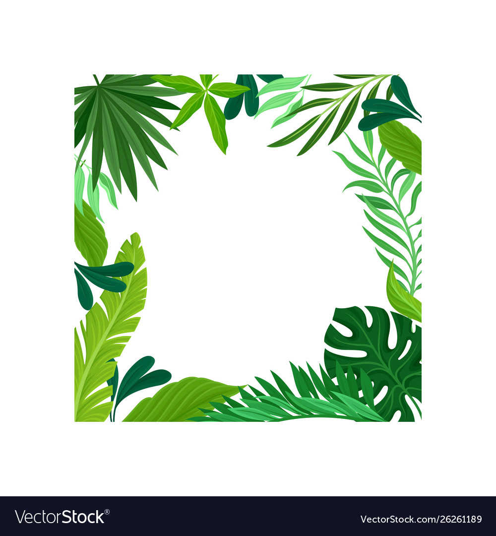 Square frame leaves placed inside Royalty Free Vector Image