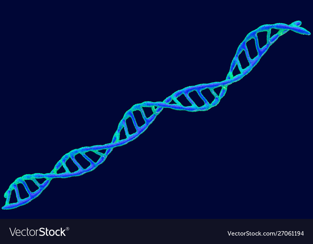 Dna Spiral Royalty Free Vector Image Vectorstock