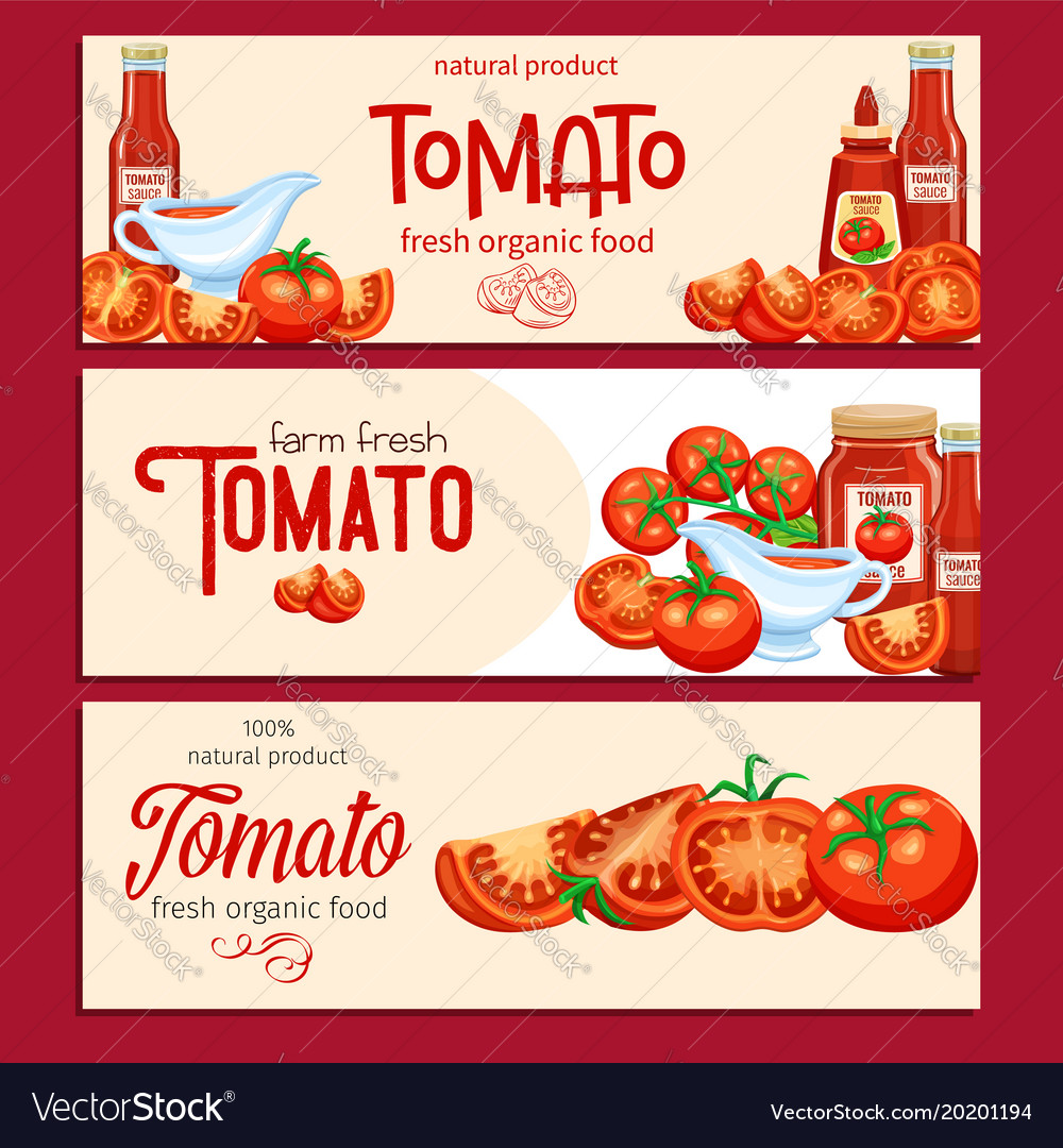 Red tomatoes and sauce Royalty Free Vector Image