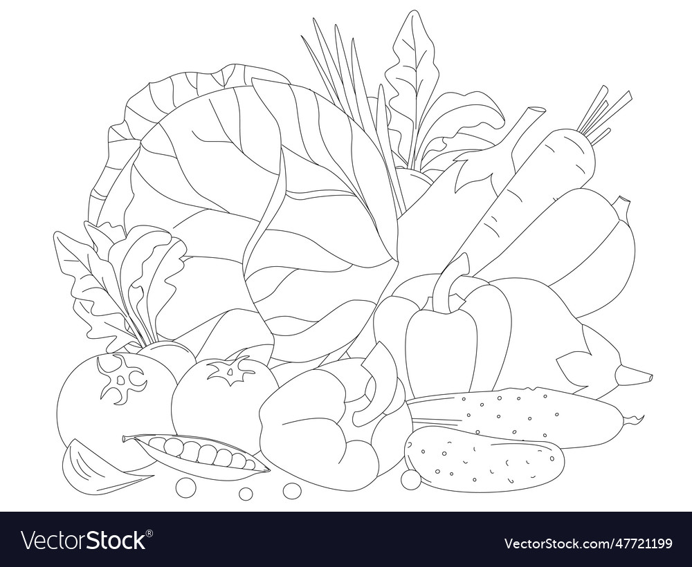 Outlined group of fresh vegetables eggplant Vector Image