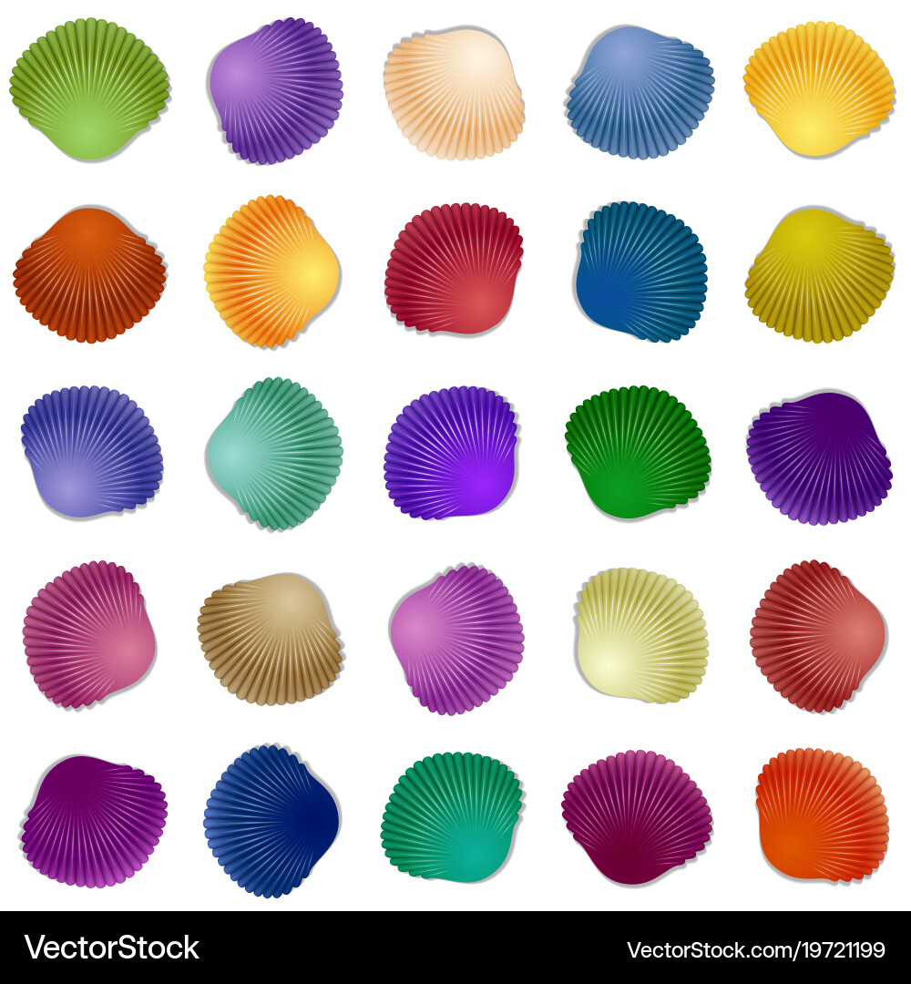 Seashell Template