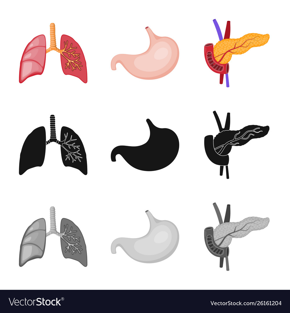 Biology And Scientific Icon Royalty Free Vector Image