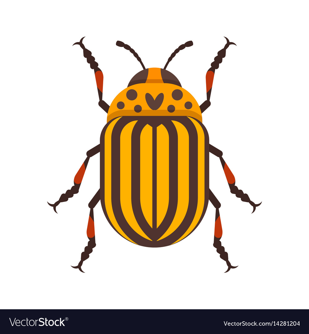 Flat style of colorado beetle Royalty Free Vector Image