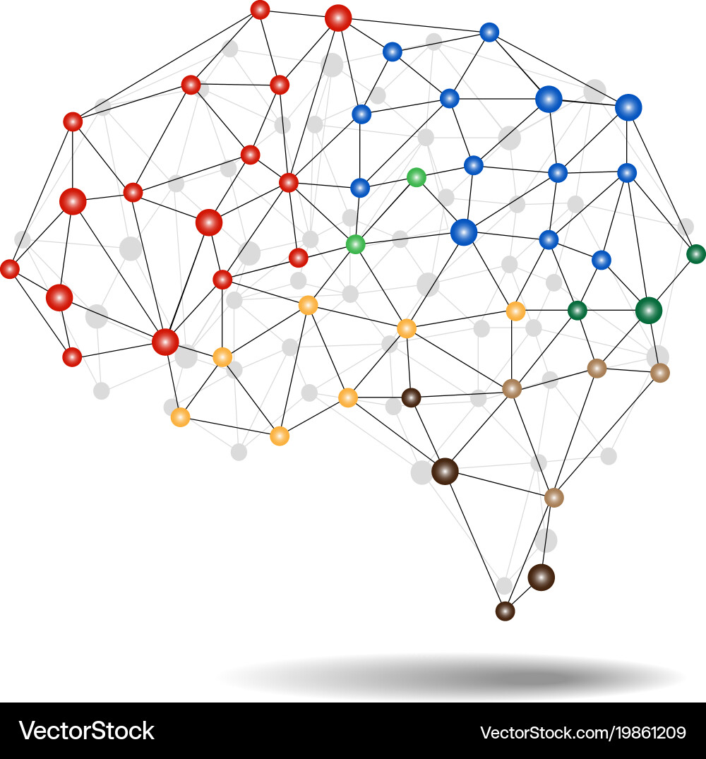 Concept of the human brain Royalty Free Vector Image