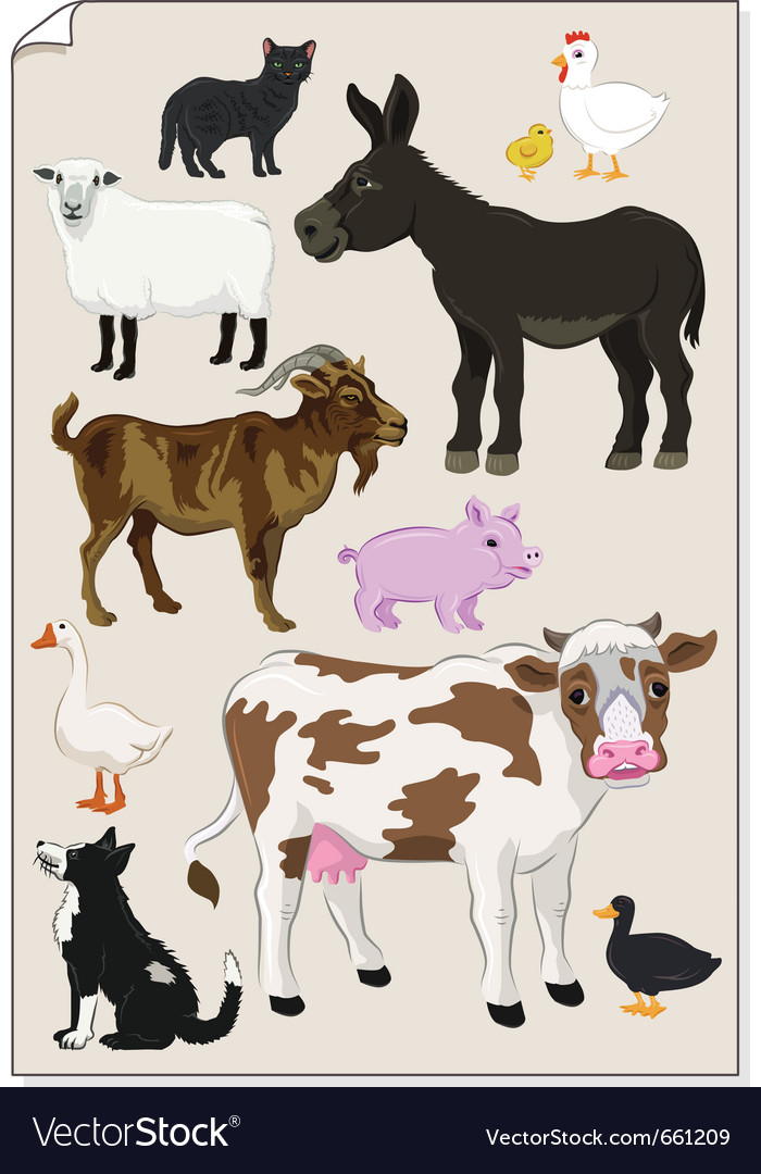 Farm animals stickers Royalty Free Vector Image