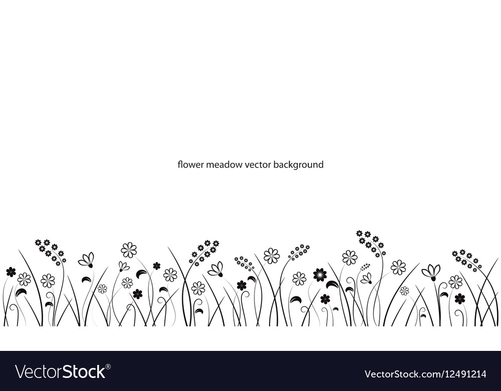 Flower meadow line border isolated on white Vector Image