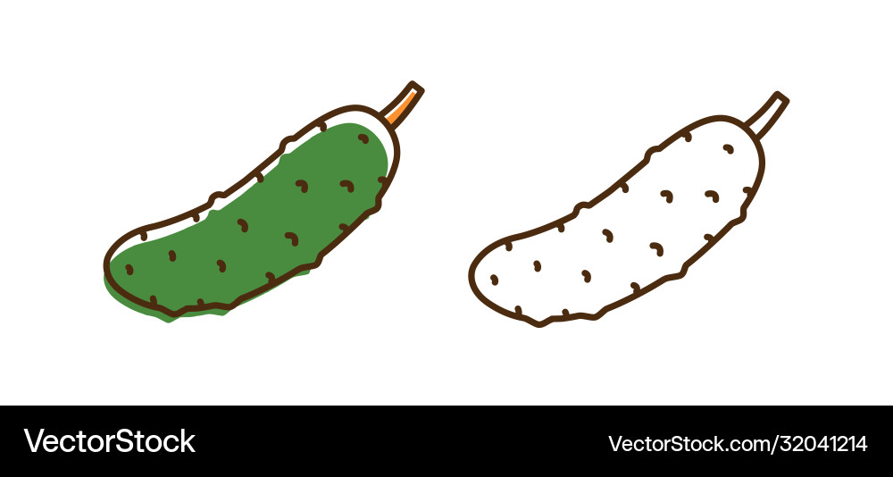 Organic fresh cucumber with design elements Vector Image
