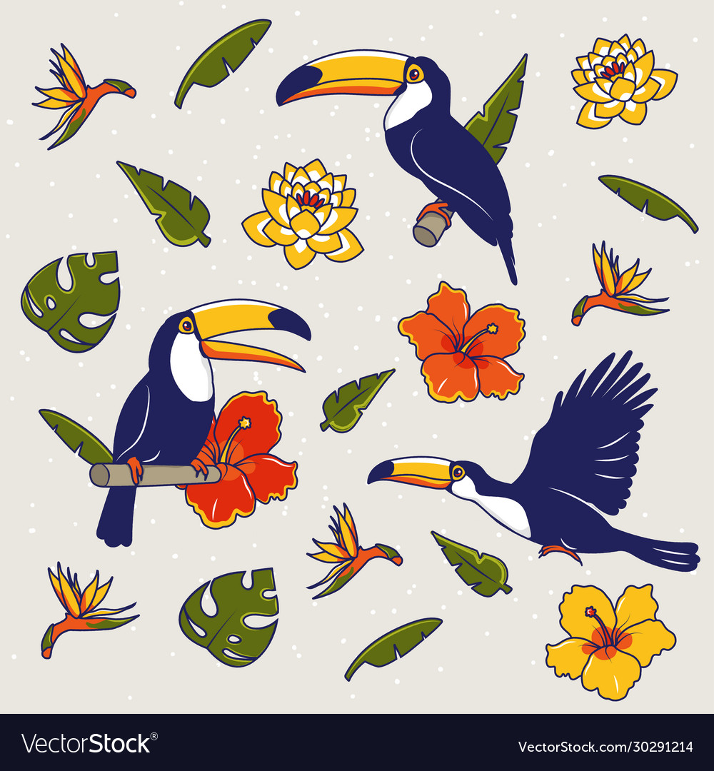 Pattern with toucan flowers palm trees