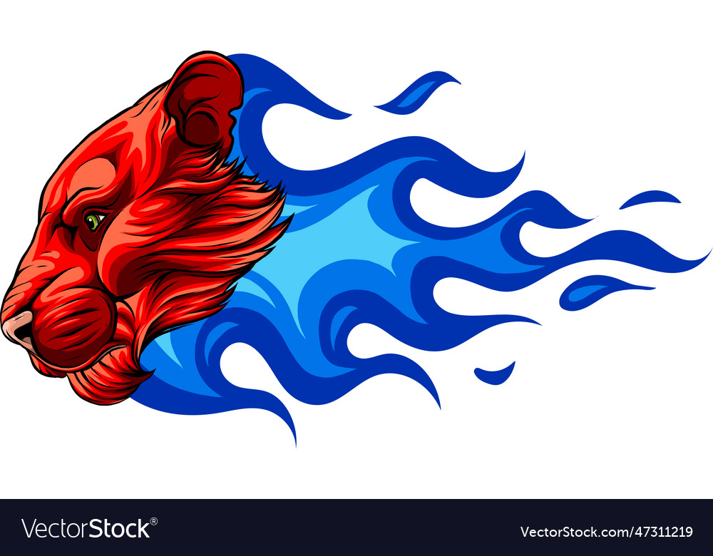 Flaming fire lion head Royalty Free Vector Image