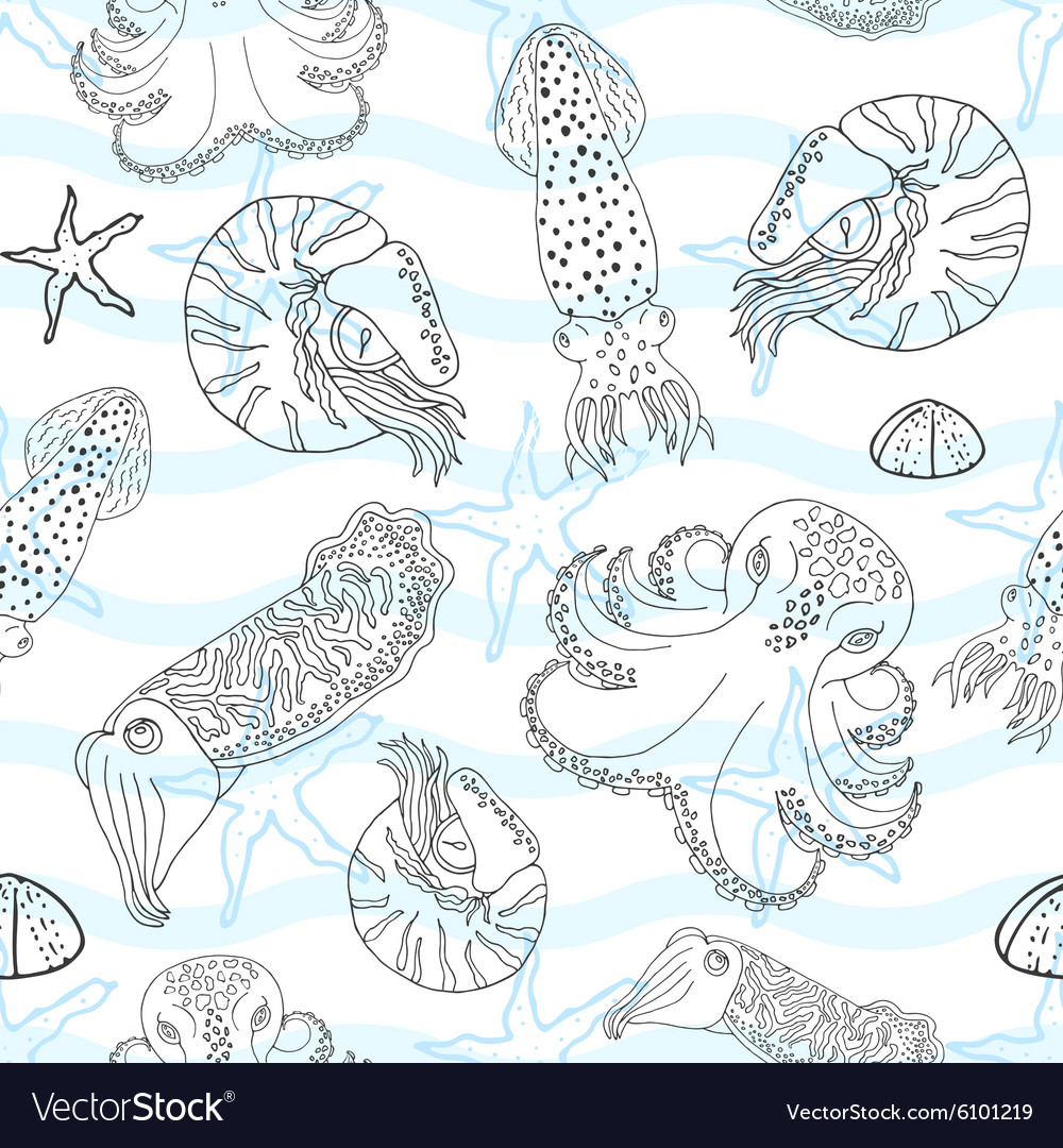 Hand drawn cephalopods seamless pattern