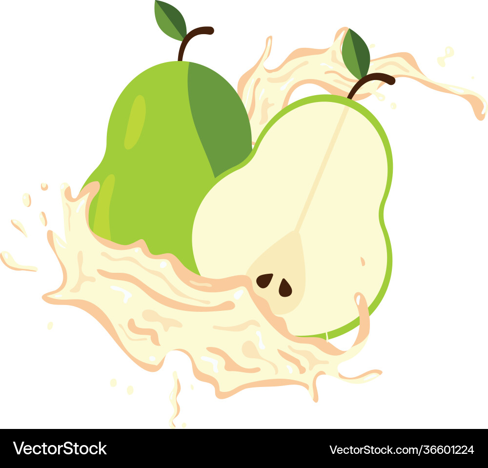 Pear fruit splash Royalty Free Vector Image - VectorStock