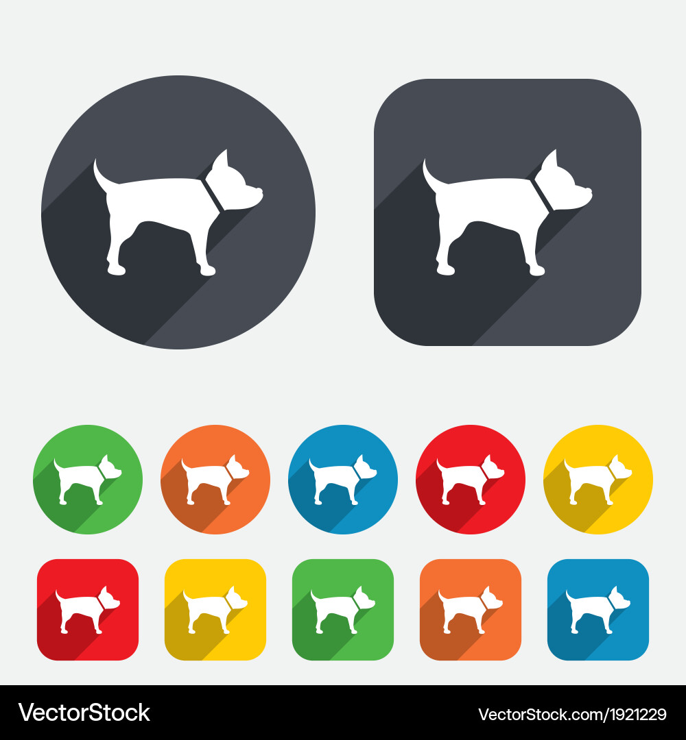 Dog sign icon pets symbol Royalty Free Vector Image