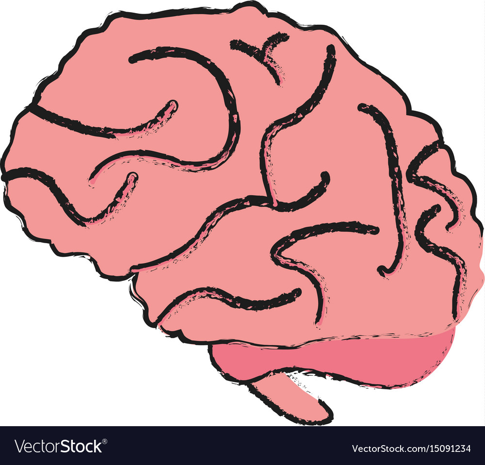 Brain Cartoon Drawing