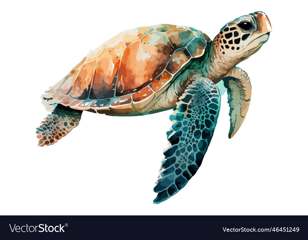 Watercolor sea turtle Royalty Free Vector Image