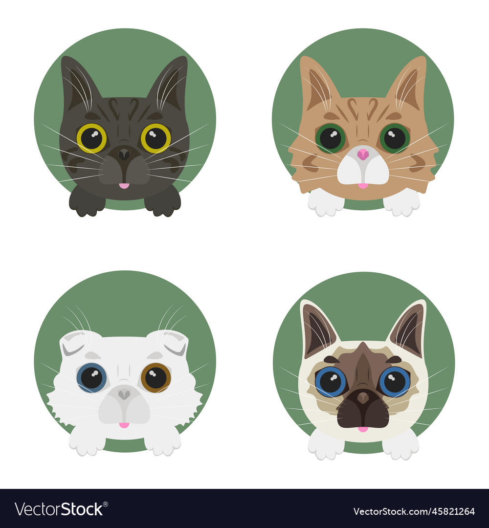 Free Vectors  Cat face icon set