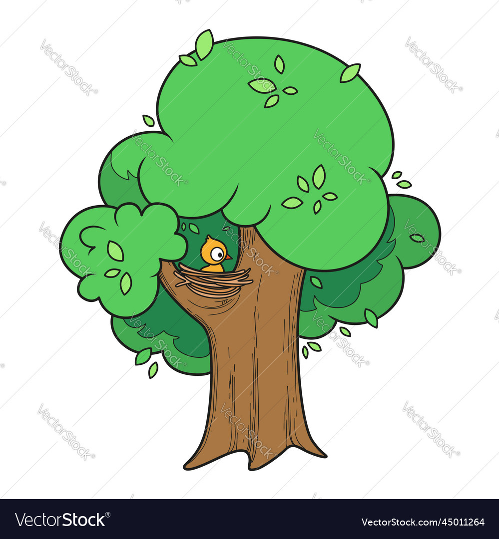 Tree with big foliar crown nd bird in nest color Vector Image