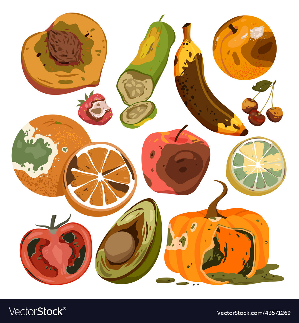 Rotten food product set spoiled and damaged fruit Vector Image