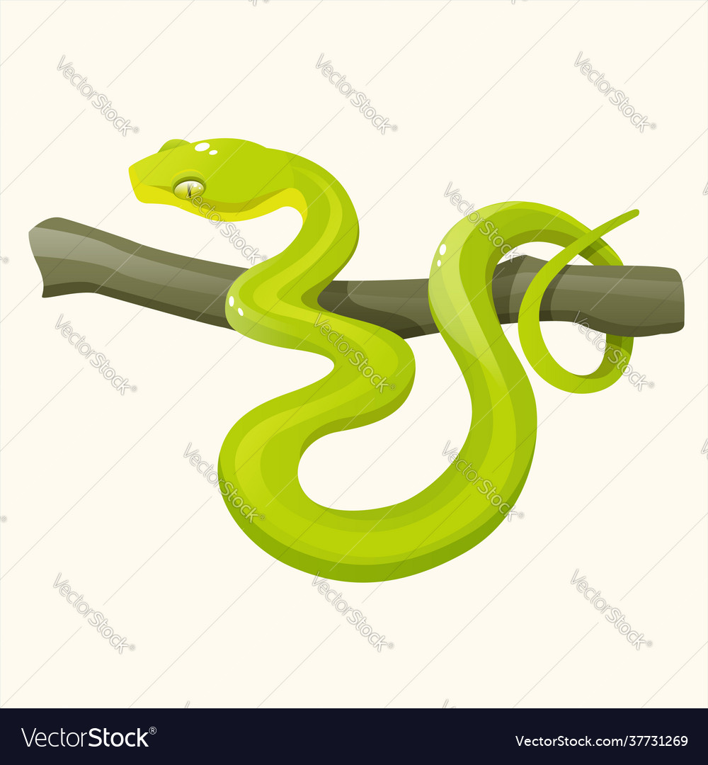 Snake wild tropical Royalty Free Vector Image - VectorStock