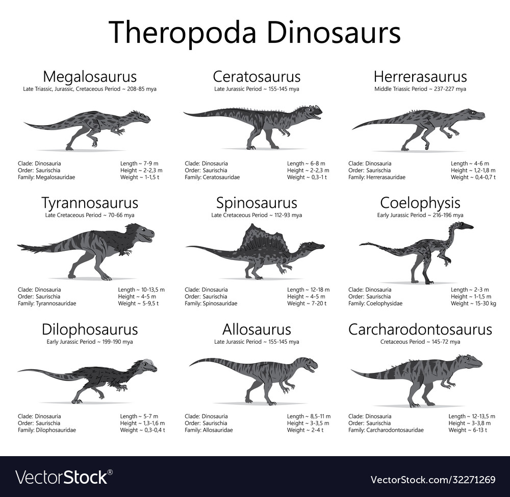 Theropoda Dinosaurs Monochrome Royalty Free Vector Image 8456