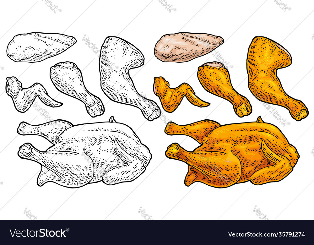 Part Cutting Roasted Chicken Whole Leg Wing Vector Image 3247