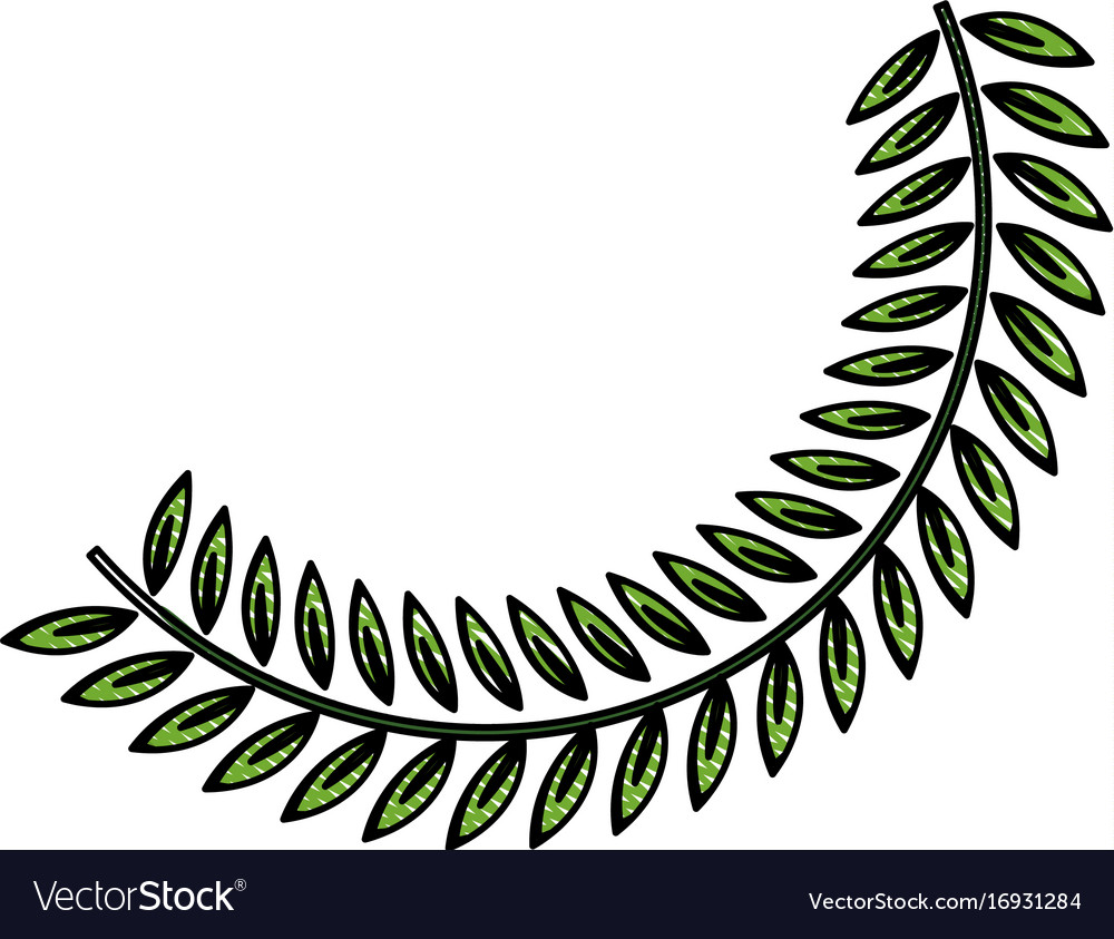 Olive branch leaf peace flora symbol Royalty Free Vector